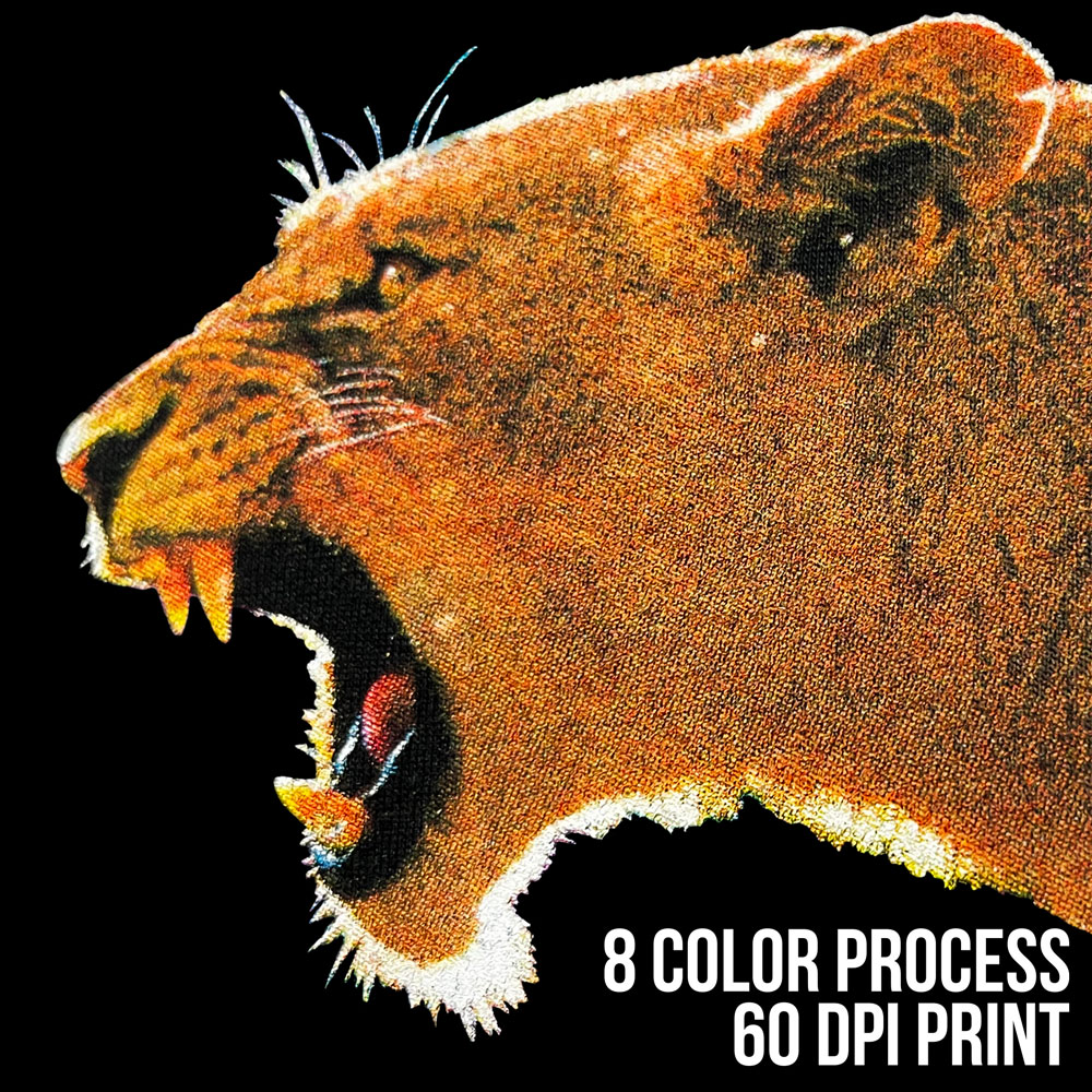 8 Color Process 60 DPI Print